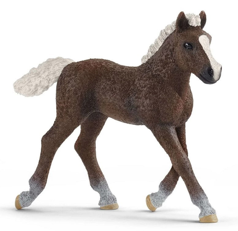 Schleich Horse Black Forest Foal