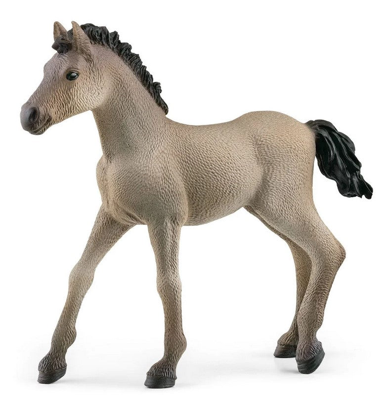Schleich Horse Criollo Definitivo Foal