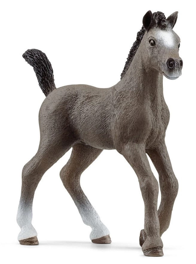 Schleich Horse Selle Francais Foal