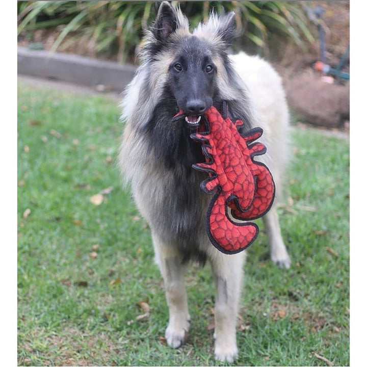 Tuffy Dog Toy Lobster 38cm Tuffscale 8