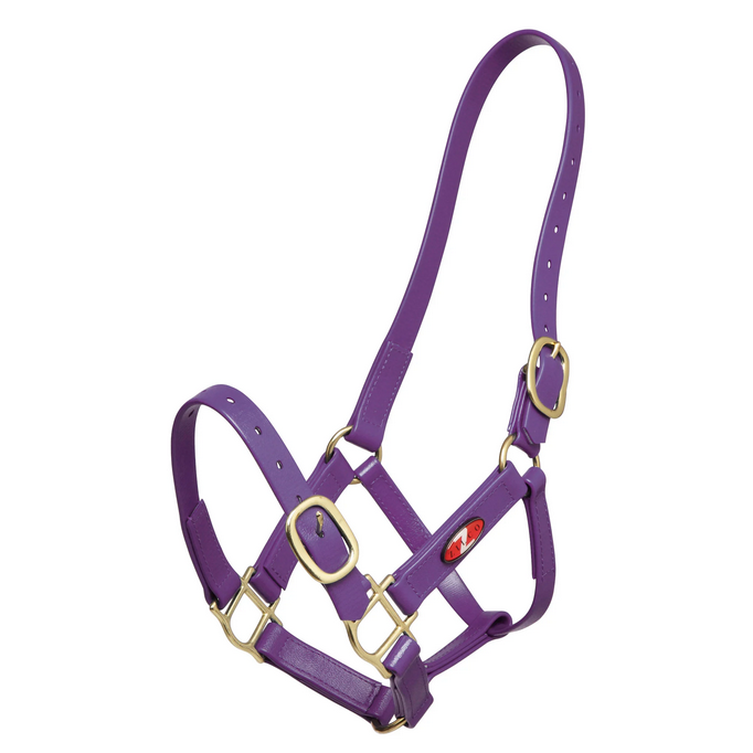 Headstall Plastic 25mm Zilco Full Purple