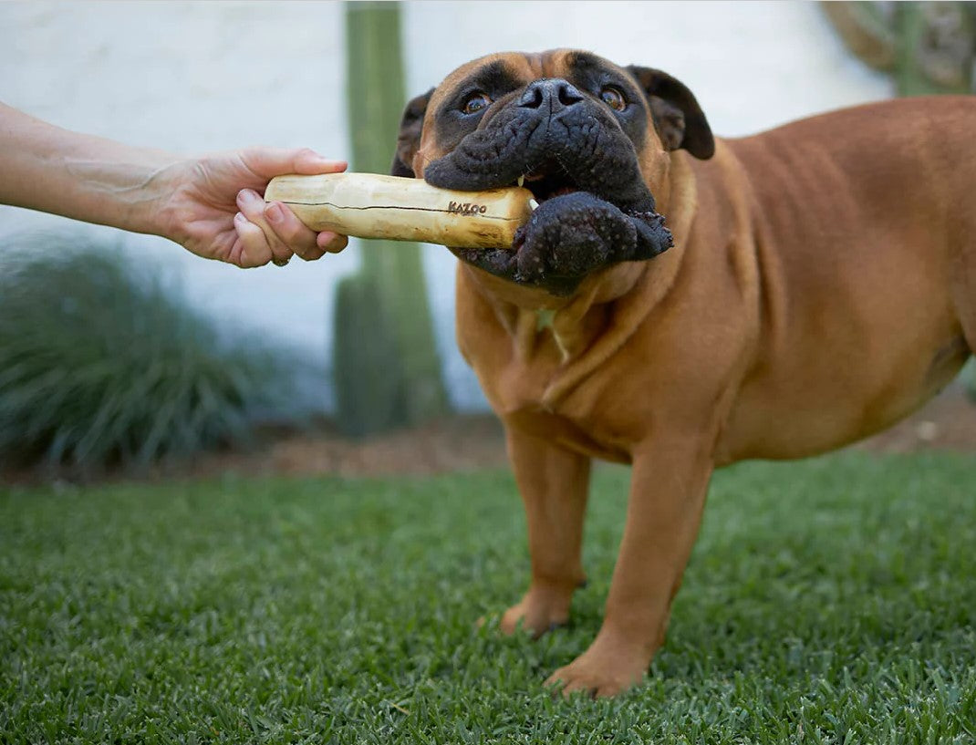 Kazoo Treat Coffee Wood Chew Small