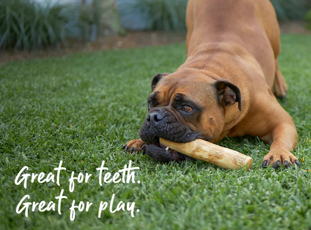 Kazoo Treat Coffee Wood Chew Small
