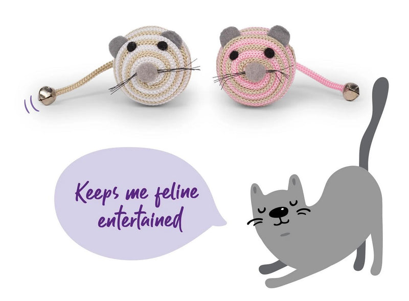 Cat Toy Kazoo Catch & Scratch Jingle Mouse
