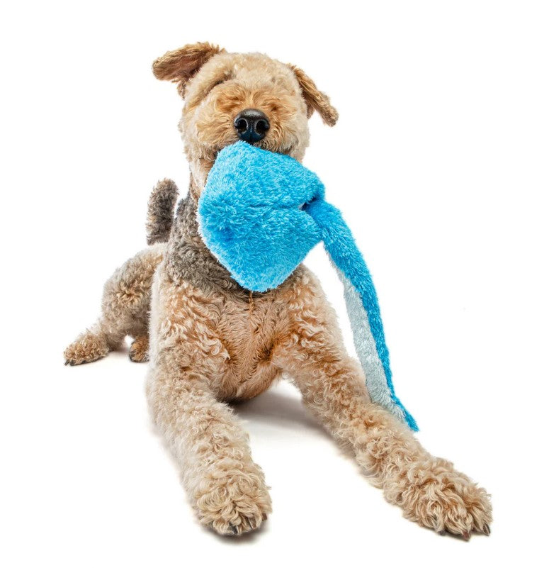 Guru Dog Toy Hide A Tail Shark Medium 32cm