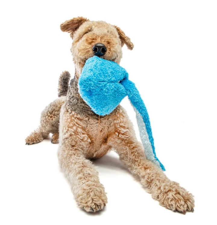 Guru Dog Toy Hide A Tail Shark Medium 32cm