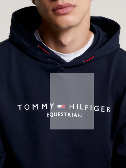 Hoodie Tommy Hilfiger Williamsburg Graphic Desert Sky Mens [:medium]