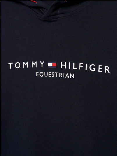 Hoodie Tommy Hilfiger Williamsburg Graphic Desert Sky Mens [:medium]