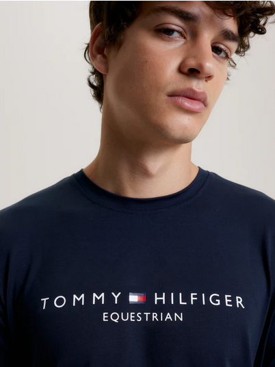 Tee Shirt Tommy Hilfiger Williamsburg Graphic Short Sleeve Desert Sky Mens [:medium]