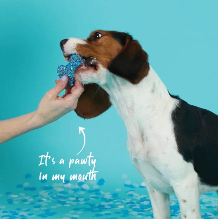 Kazoo Treat Dog Fun Bone Biscuit Blue