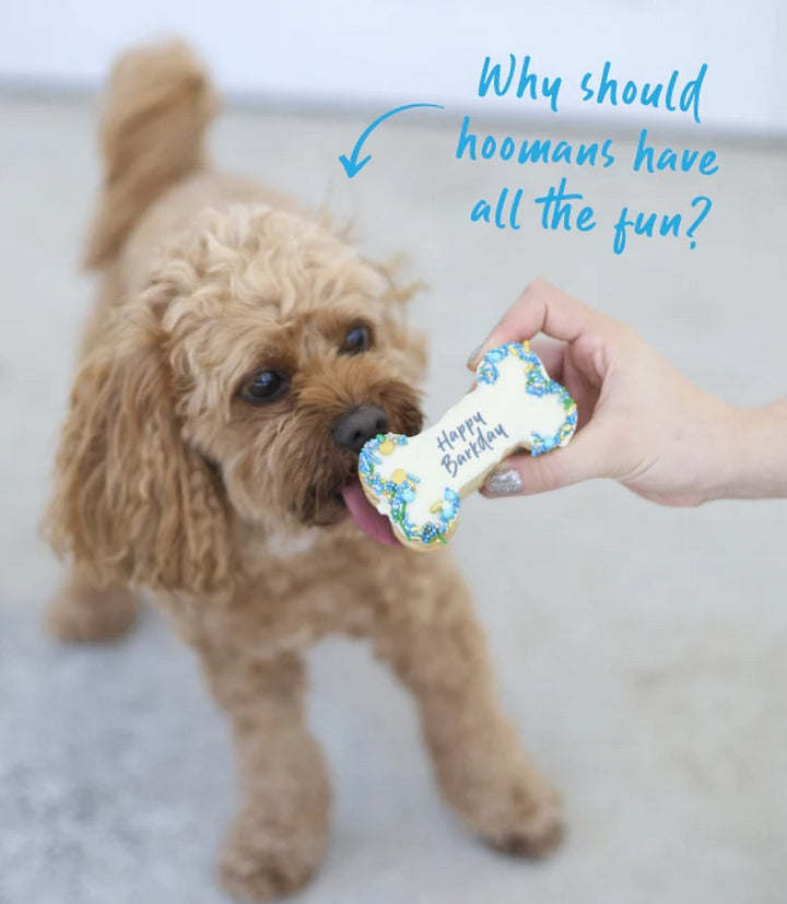 Kazoo Treat Dog Fun Birthday Bone Cake Blue