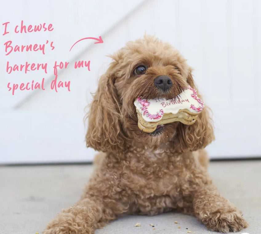 Kazoo Treat Dog Fun Birthday Bone Cake Pink