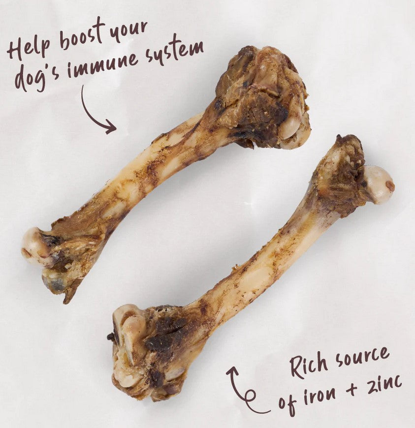 Kazoo Treat Dog Prime Cuts Lamb Shank 2piece