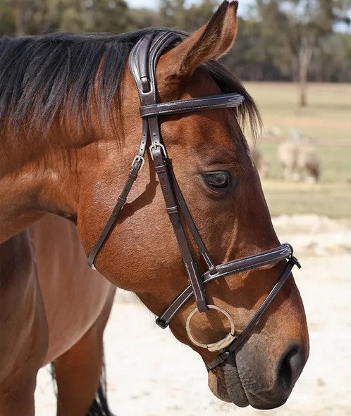 Bridle Hanoverian Leather Fancy Grainge Brown [:pony]