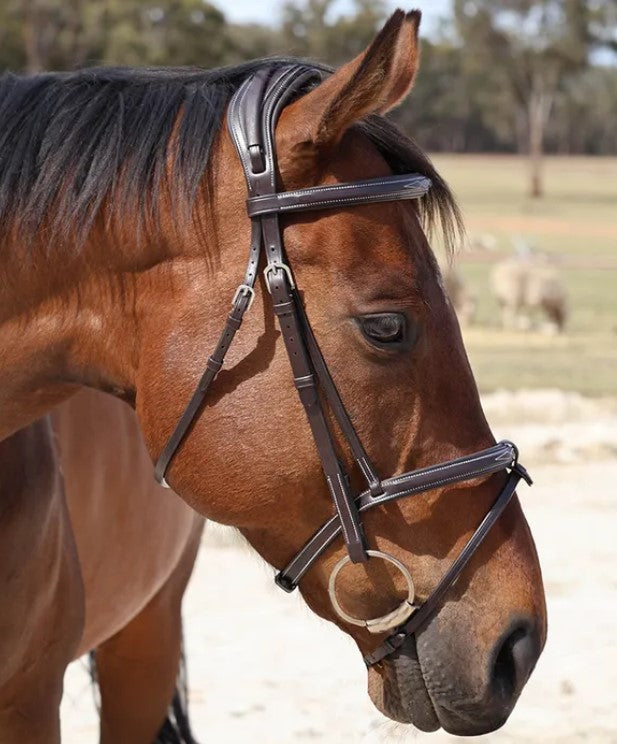 Bridle Hanoverian Leather Fancy Grainge Black [:pony]