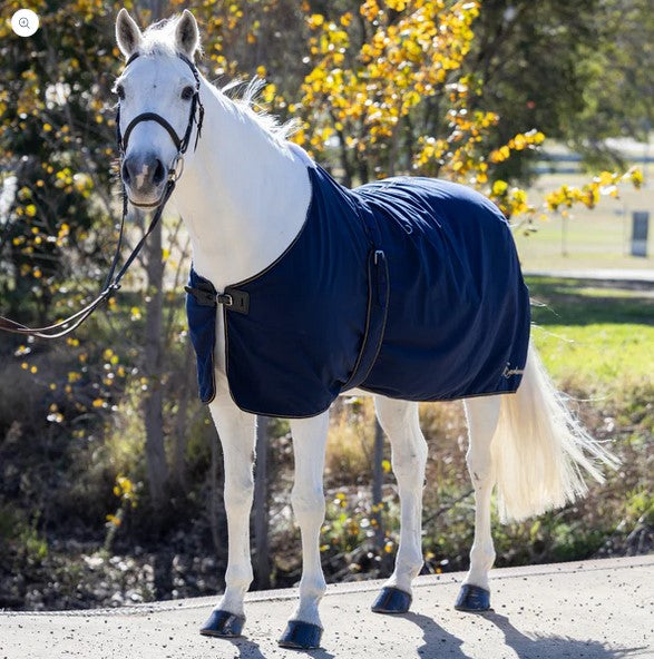 Cotton Show Rug Earlwood Navy & Gold [:5'9"]