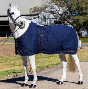 Cotton Show Rug Earlwood Navy & Gold [:5'9"]