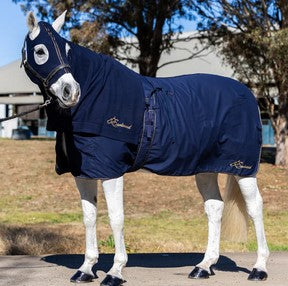 Cotton Show Rug Earlwood Navy & Gold [:5'9"]