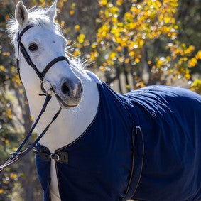 Cotton Show Rug Earlwood Navy & Gold [:5'9"]