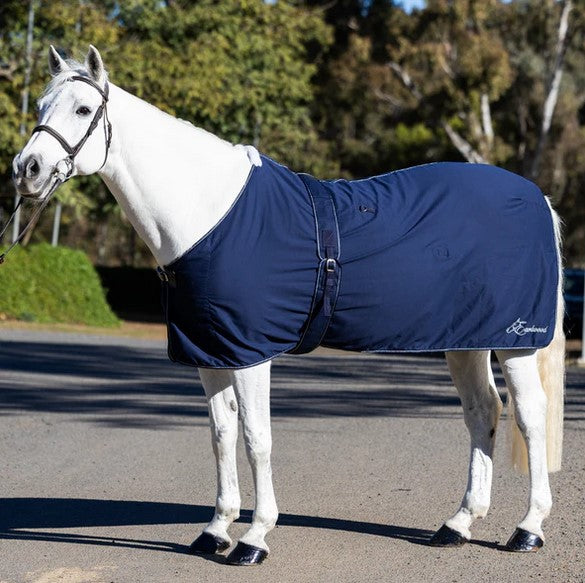 Cotton Show Rug Earlwood Navy & Silver [:5'9"]