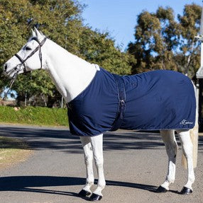 Cotton Show Rug Earlwood Navy & Silver [:5'9"]