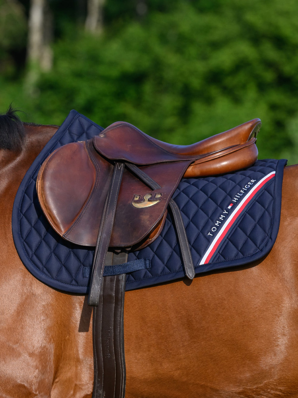 Saddlecloth Jumping Tommy Hilfiger Stanford Desert Sky Full