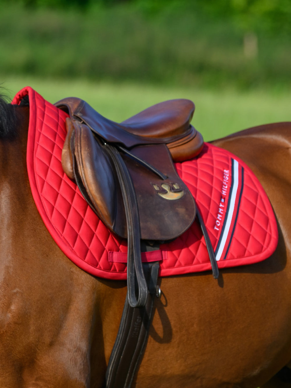Saddlecloth Jumping Tommy Hilfiger Stanford Primary Red Full