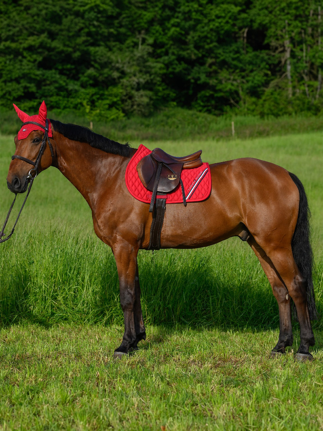 Saddlecloth Jumping Tommy Hilfiger Stanford Primary Red Full