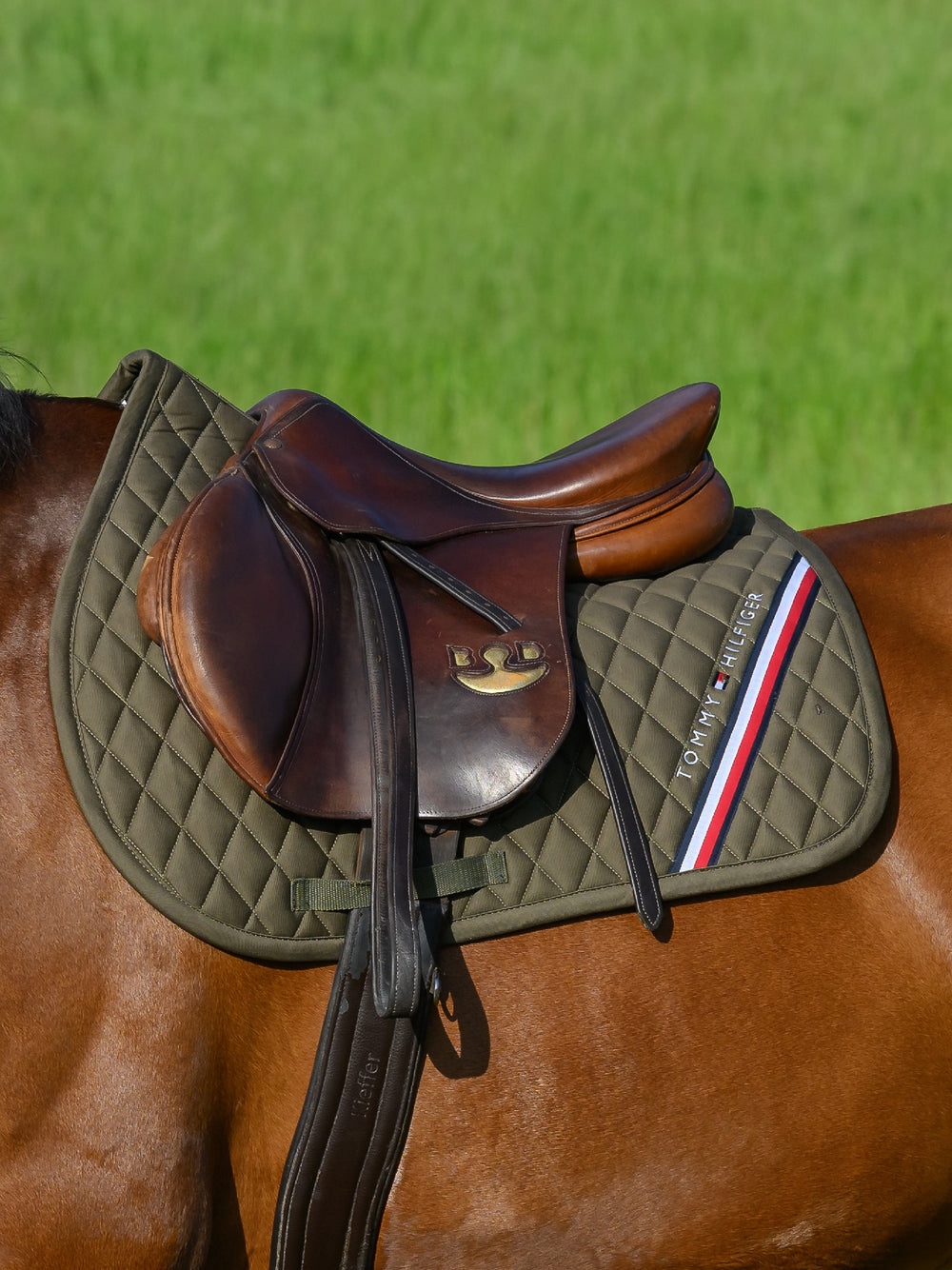 Saddlecloth Jumping Tommy Hilfiger Stanford Utility Olive Full