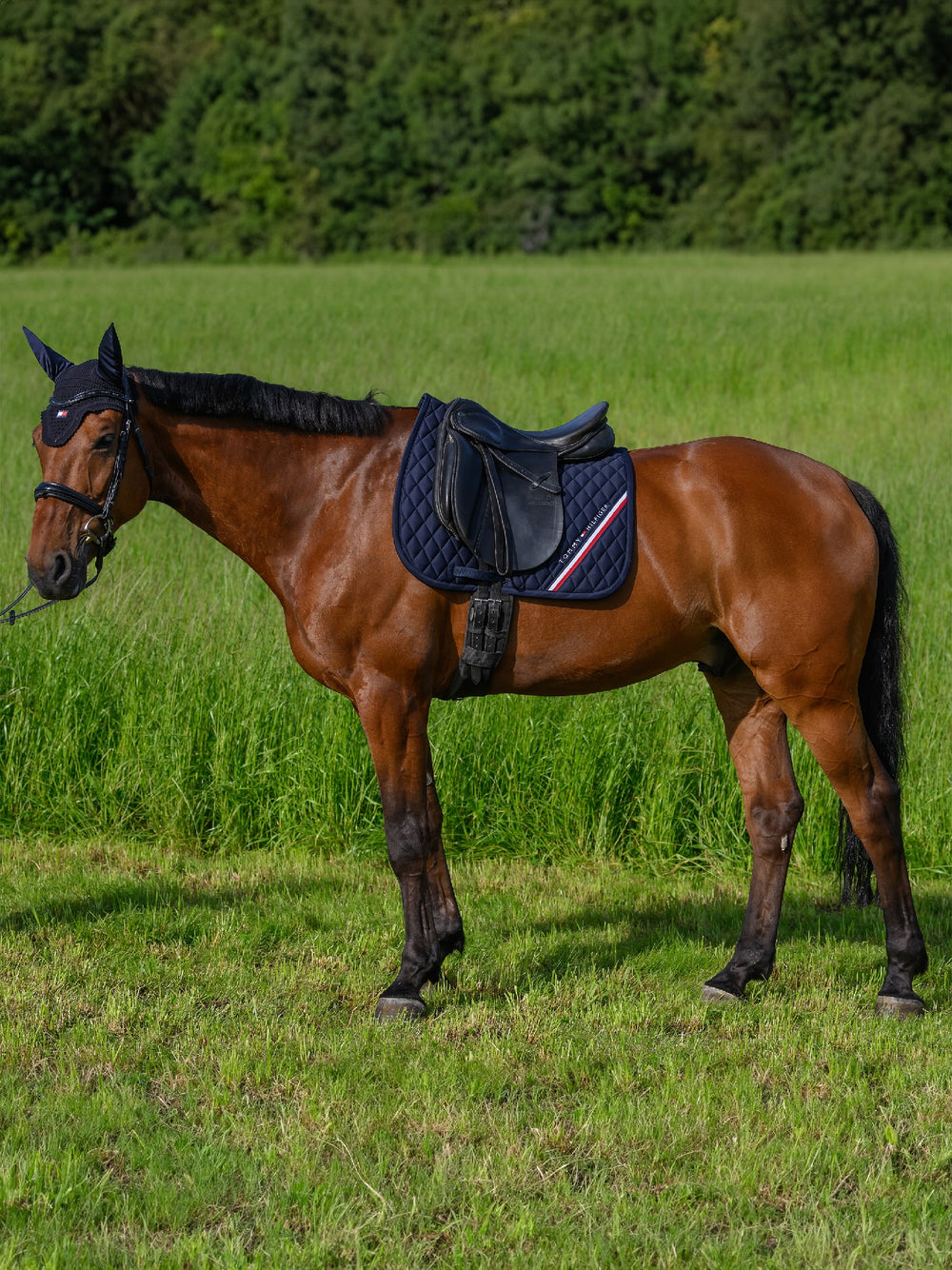 Saddlecloth Dressage Tommy Hilfiger Stanford Desert Sky Full