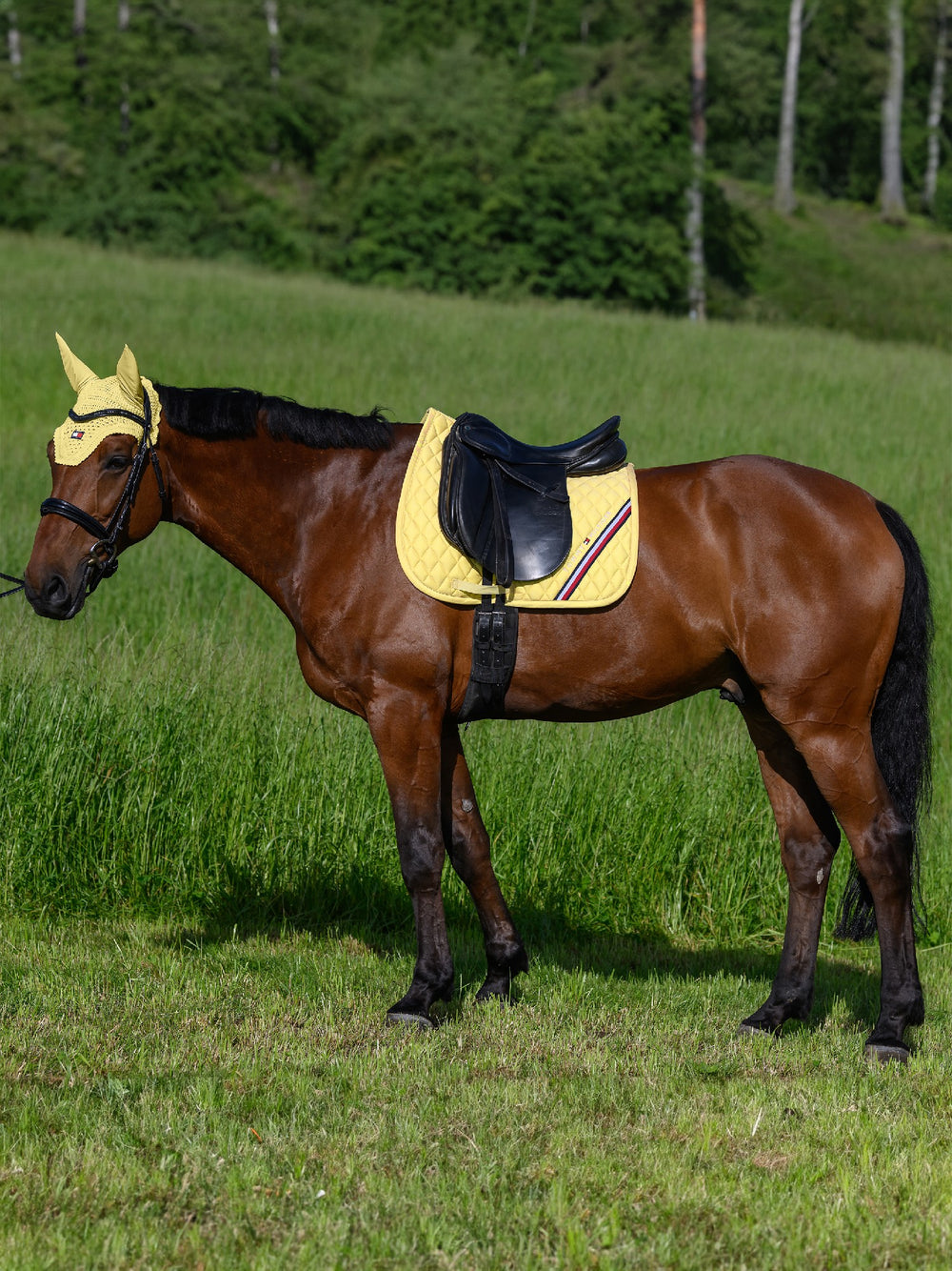 Saddlecloth Dressage Tommy Hilfiger Stanford Citronella Full