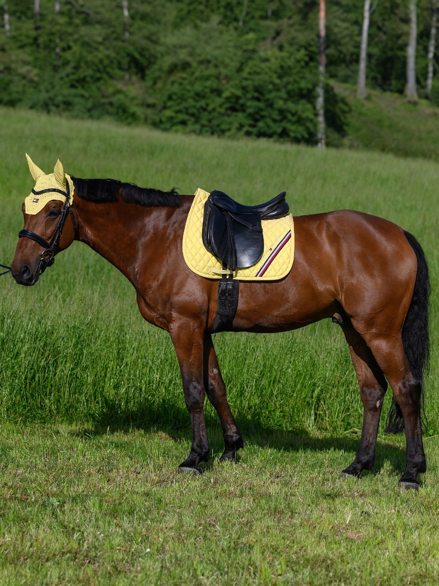Saddlecloth Dressage Tommy Hilfiger Stanford Citronella Full