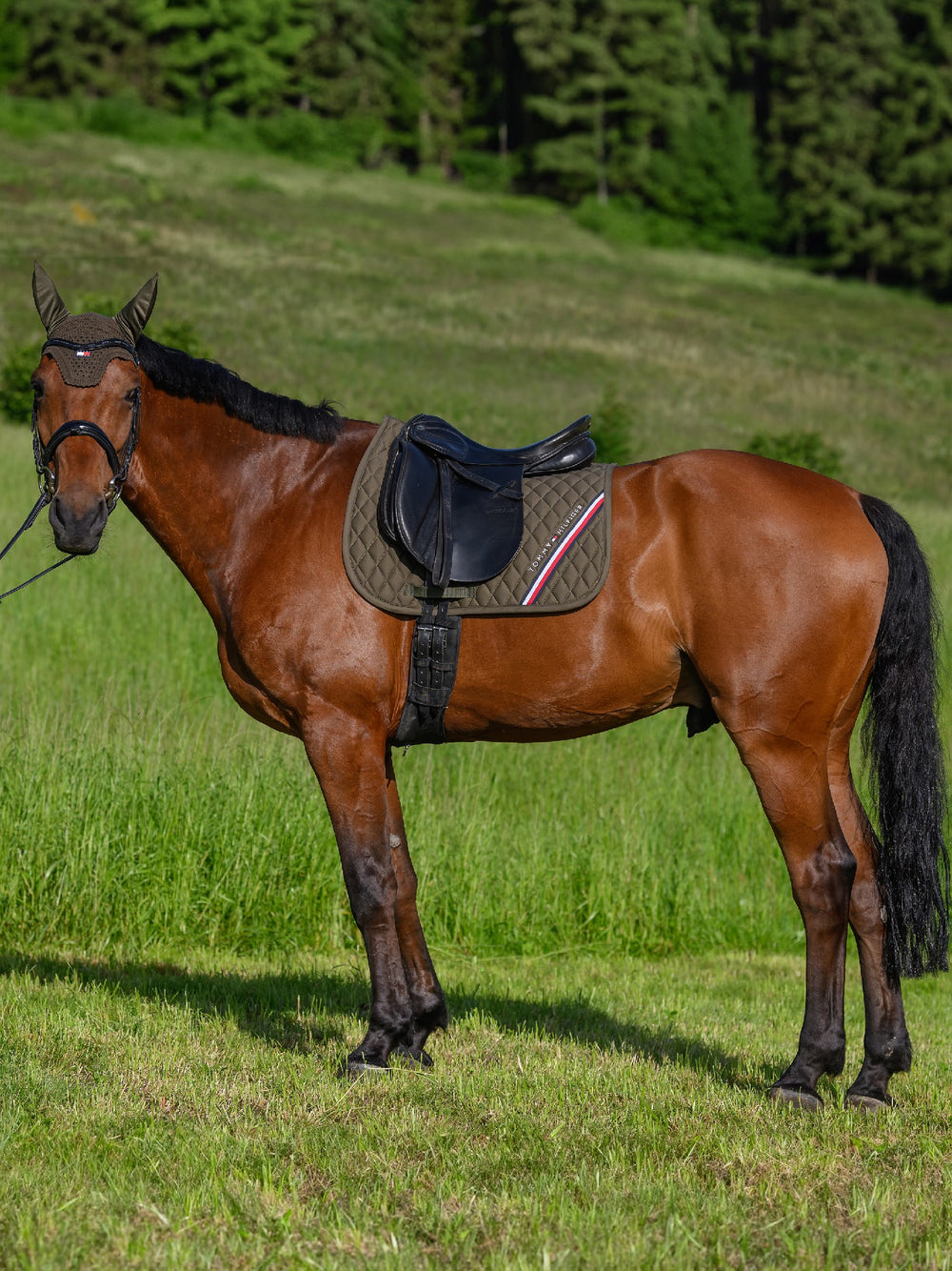 Saddlecloth Dressage Tommy Hilfiger Stanford Utility Olive Full