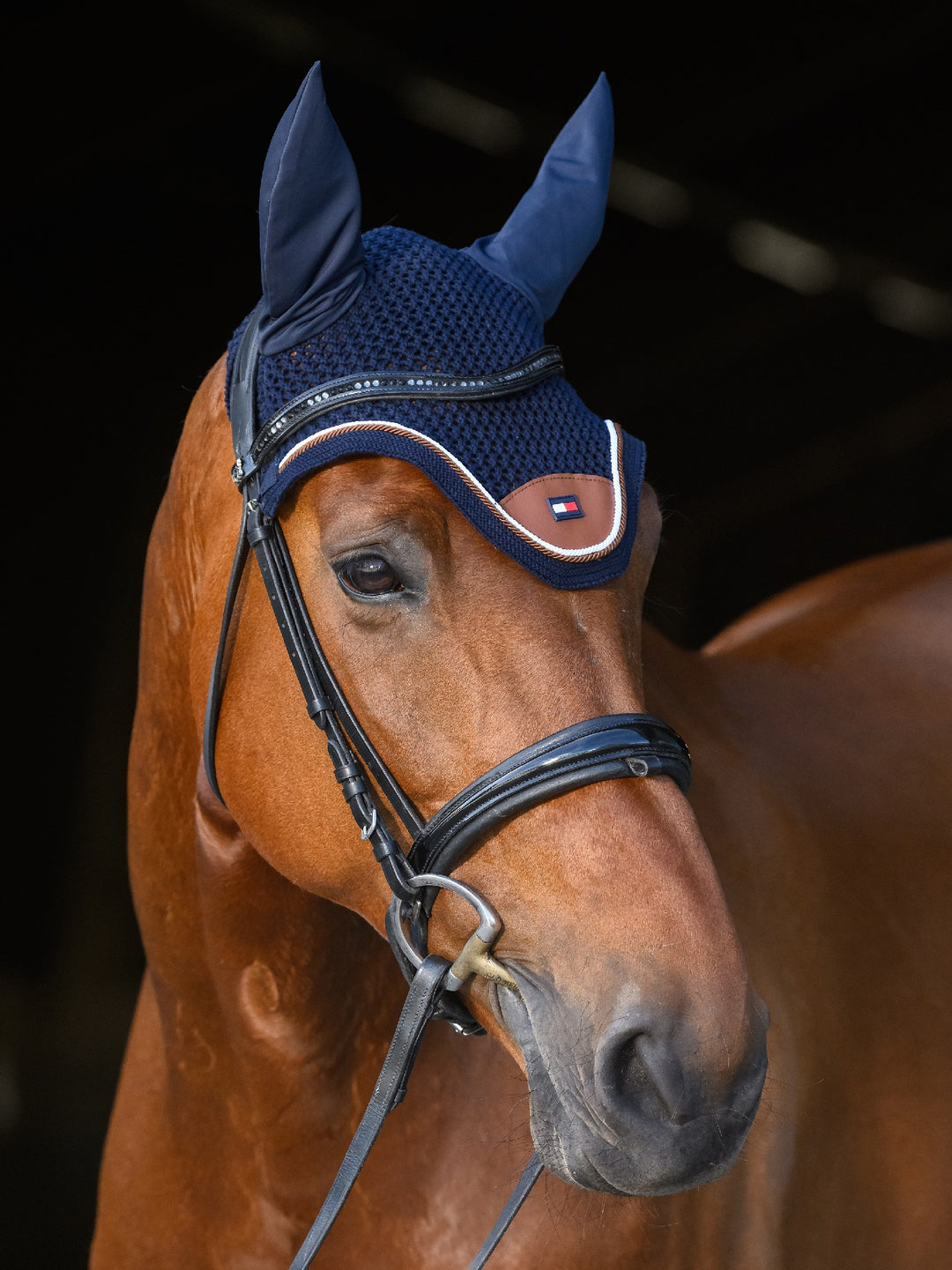 Bonnet  Tommy Hilfiger Princeton Desert Sky