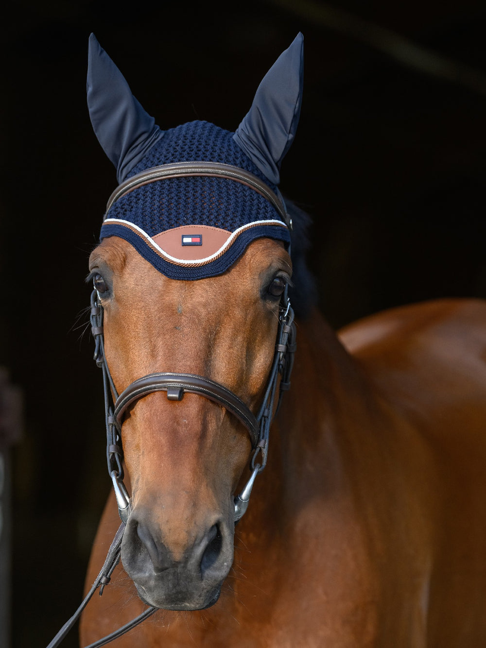 Bonnet  Tommy Hilfiger Princeton Desert Sky