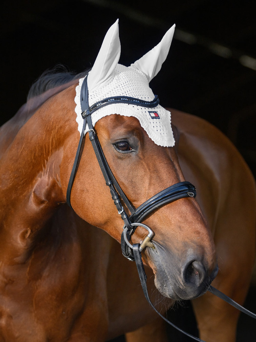 Bonnet  Tommy Hilfiiger Lexington Optic White