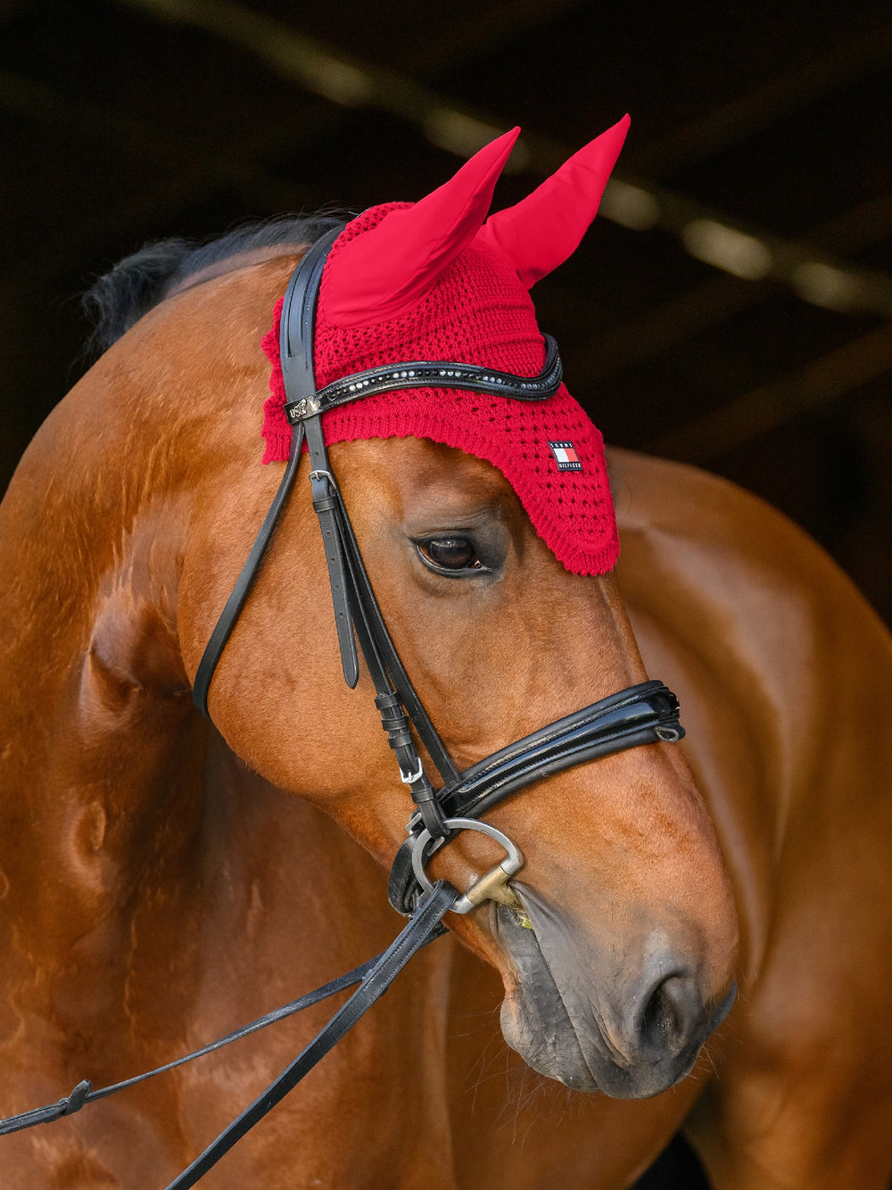 Bonnet  Tommy Hilfiiger Lexington Primary Red