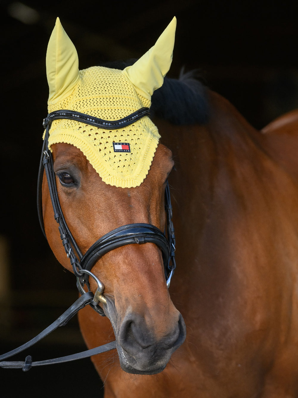 Bonnet  Tommy Hilfiiger Lexington Citronella