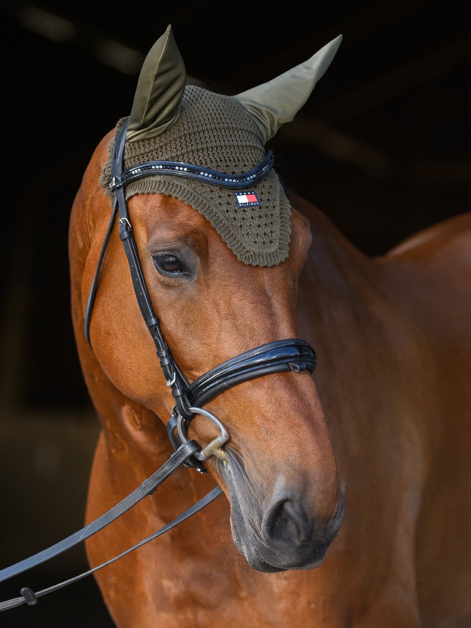 Bonnet  Tommy Hilfiiger Lexington Utillity Olive