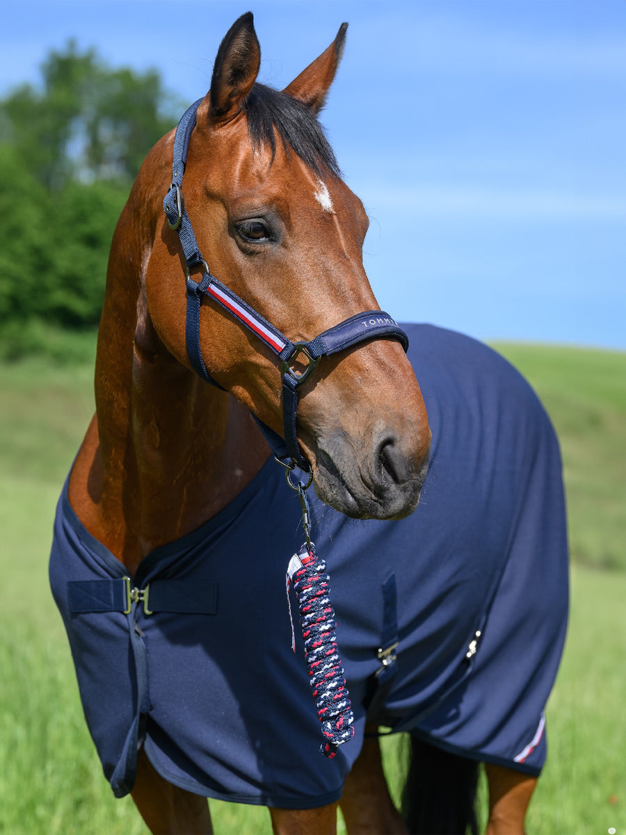 Headstall Tommy Hilfiger Lincoln Desert Sky [:cob]