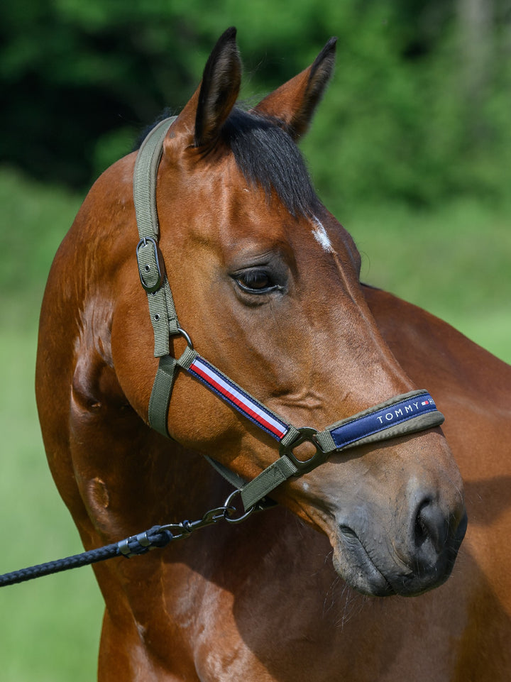 Headstall Tommy Hilfiger Lincoln Utility Olive [:cob]