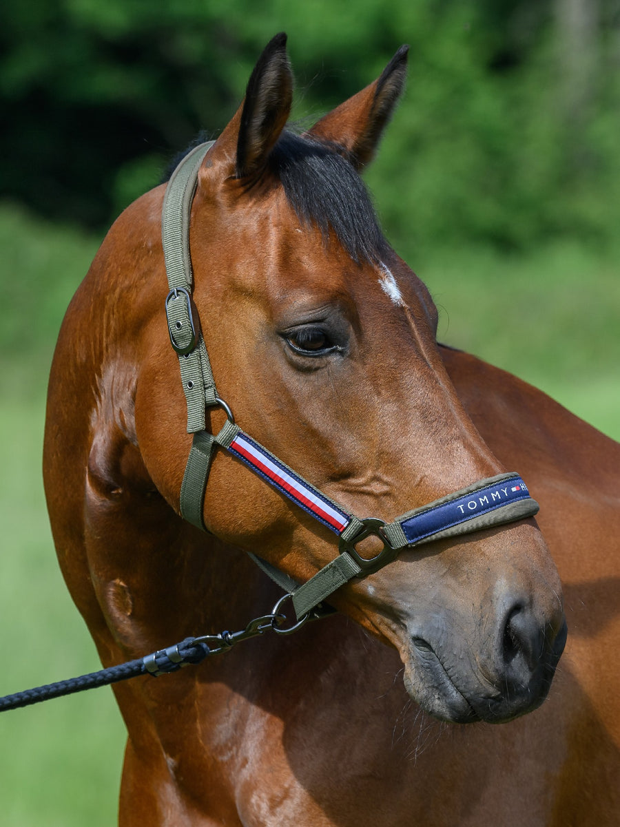 Headstall Tommy Hilfiger Lincoln Utility Olive [:cob]