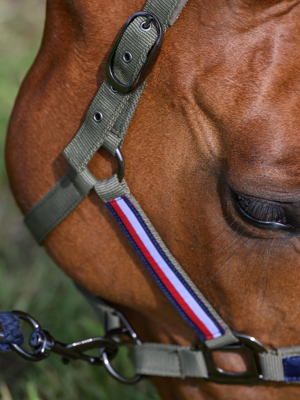 Headstall Tommy Hilfiger Lincoln Utility Olive [:cob]