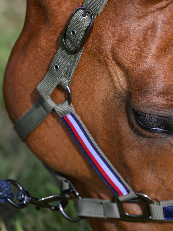 Headstall Tommy Hilfiger Lincoln Utility Olive [:cob]