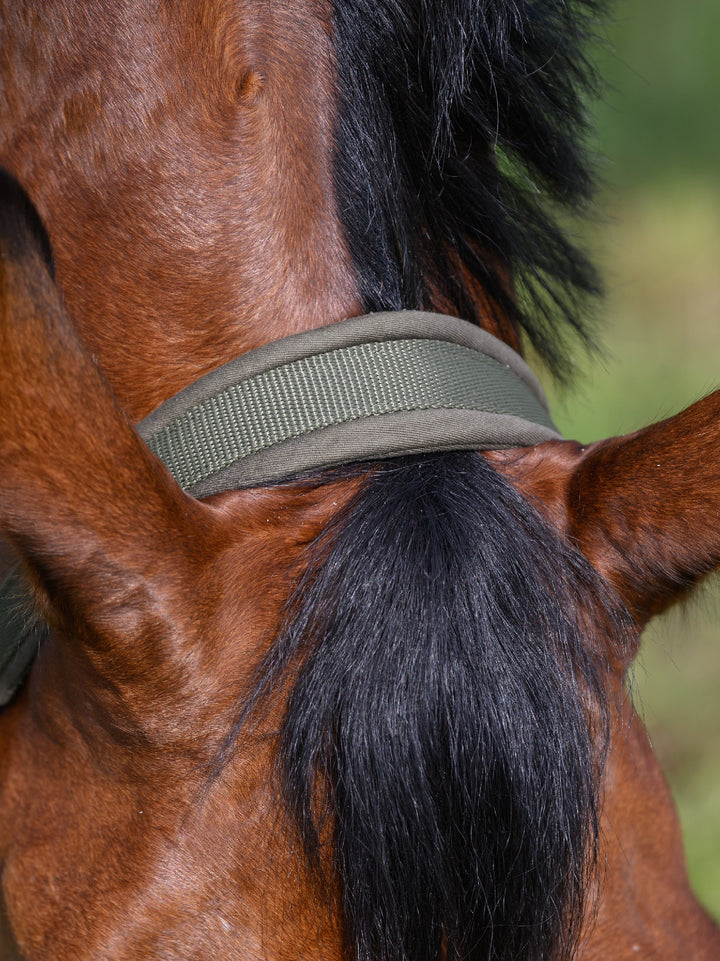 Headstall Tommy Hilfiger Lincoln Utility Olive [:cob]