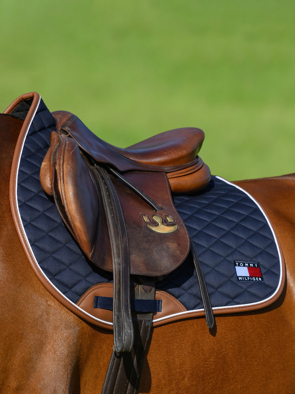 Saddlecloth Jumping Tommy Hilfiger Princeton Desert Sky Full