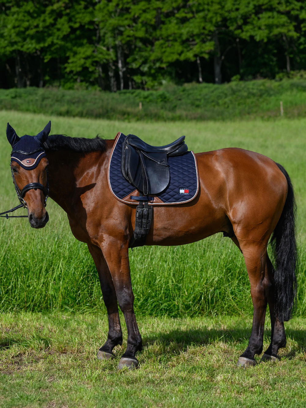 Saddlecloth Dressage Tommy Hilfiger Princeton Desert Sky Full