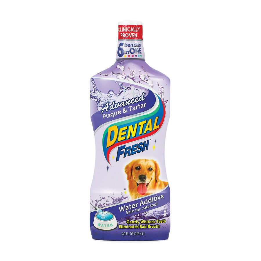 Dental Fresh Advanced Plaque & Tartar 503ml