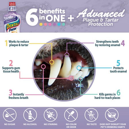 Dental Fresh Advanced Plaque & Tartar 503ml