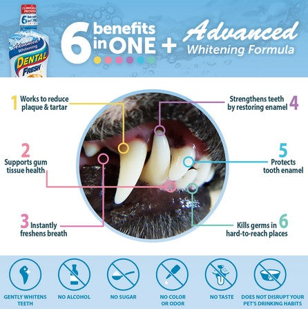 Dental Fresh Advanced Whitening 503ml